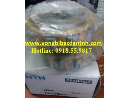 BẠC ĐẠN-RN307E-11 - NTN